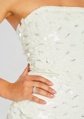 Nolia Sequin Embellished Dress